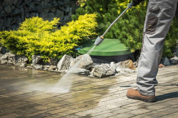 Best Fence Cleaning and Maintenance in Vinton, VA